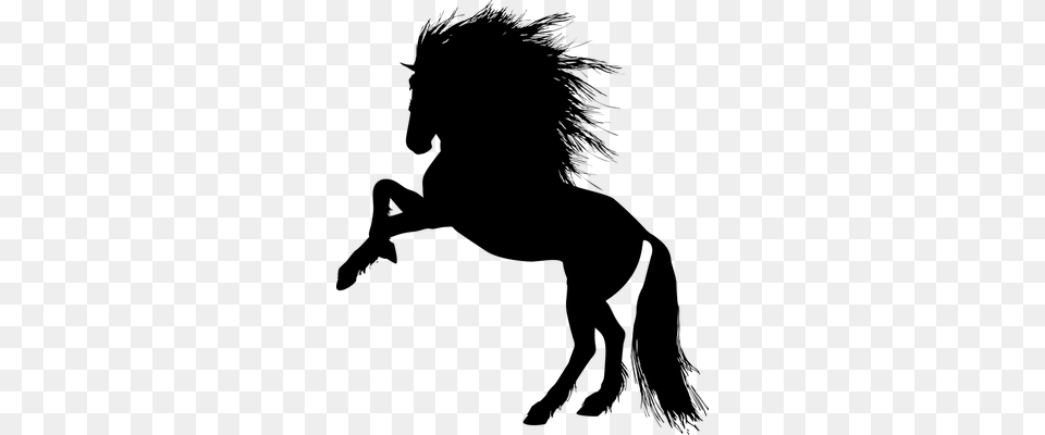 Poster Animals Animal Equine Rearing Horse Silhouette Stallion Silhouette, Gray Png Image
