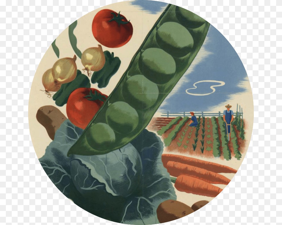 Poster Images39 Vintage World War Ii Poster, Food, Produce, Pea, Plant Free Png Download