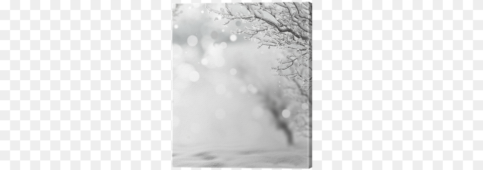 Poster Lilkar39s Winter Background, Nature, Outdoors, Weather, Blizzard Free Png