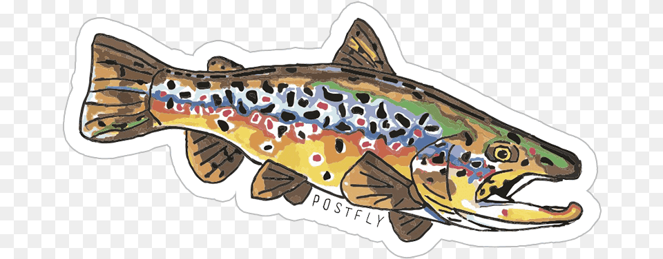 Postfly Artsy Fly Fishing Fly Fishing Stickers Trout, Animal, Fish, Sea Life, Shark Free Transparent Png