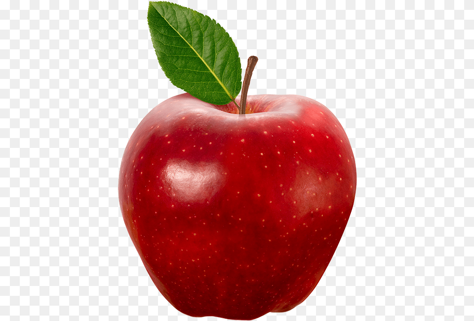 Posts That Make No Sense, Apple, Food, Fruit, Plant Png Image