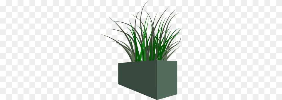 Pot Grass, Jar, Plant, Planter Free Png