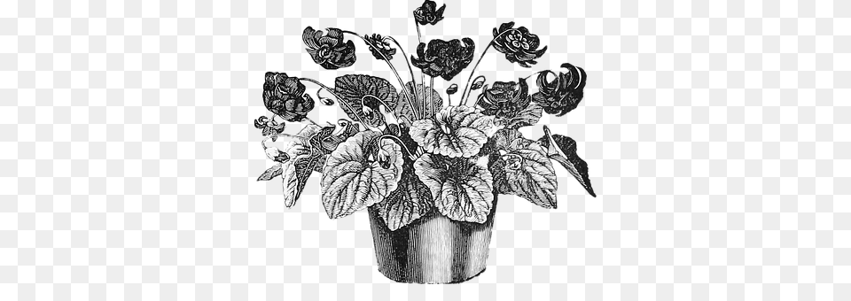 Pot Plant, Potted Plant, Art, Drawing Png