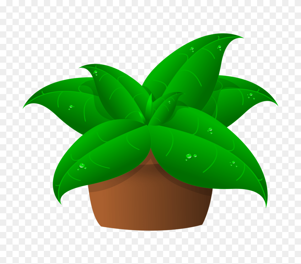 Pot Clip Art Plants, Green, Leaf, Plant, Potted Plant Free Transparent Png