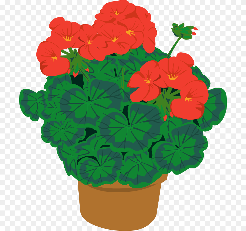 Pot Clipart, Flower, Geranium, Plant Free Transparent Png
