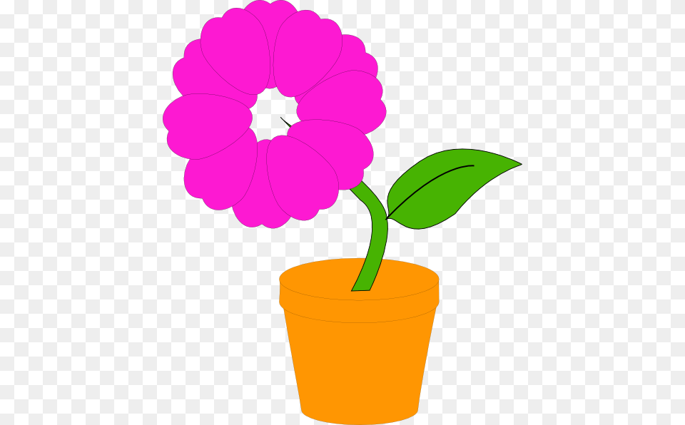 Pot Daisy Clipart Explore Pictures, Flower, Leaf, Plant, Petal Free Transparent Png