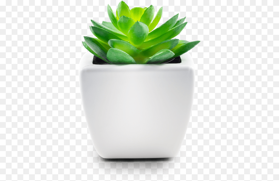 Pot Feet Basenor Invisible Flower Pot Risers Anti Skin, Jar, Leaf, Plant, Planter Free Transparent Png
