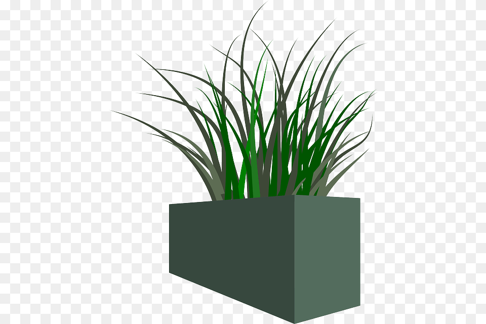 Pot Grass Plant Weeds Planter Boxes Transparent Background, Jar, Potted Plant, Pottery, Vase Free Png Download