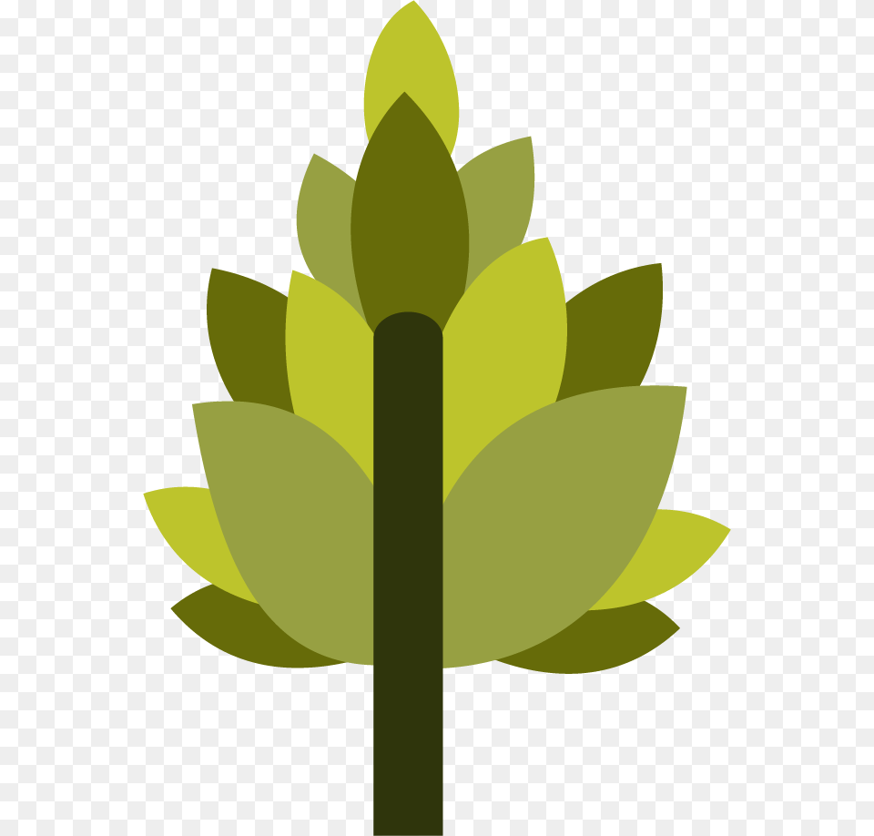 Pot Leaf, Bud, Flower, Green, Plant Free Png Download