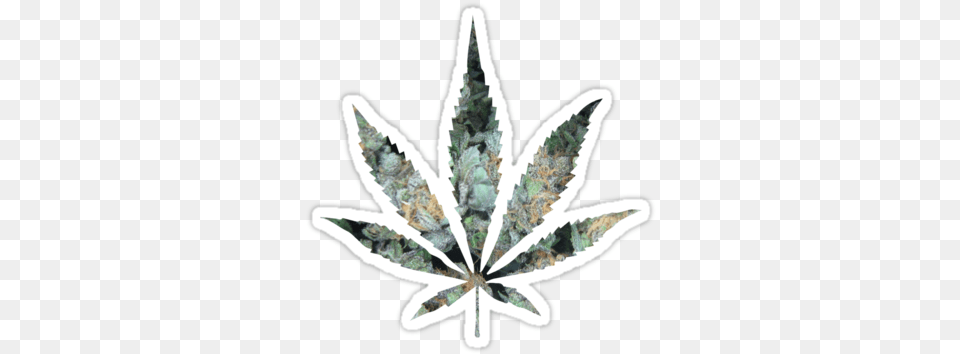 Pot Leaf By Mstark Ganja, Plant, Weed, Chandelier, Lamp Free Png