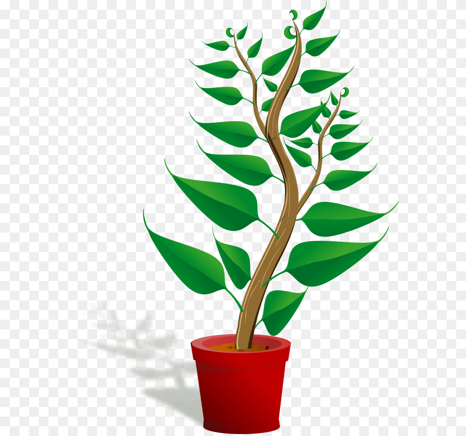 Pot Leaf Clip Art, Plant, Tree, Potted Plant, Flower Free Png Download