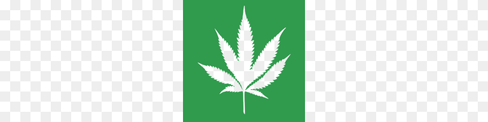 Pot Leaf Gt The Denver Guide, Plant, Weed, Green Free Png