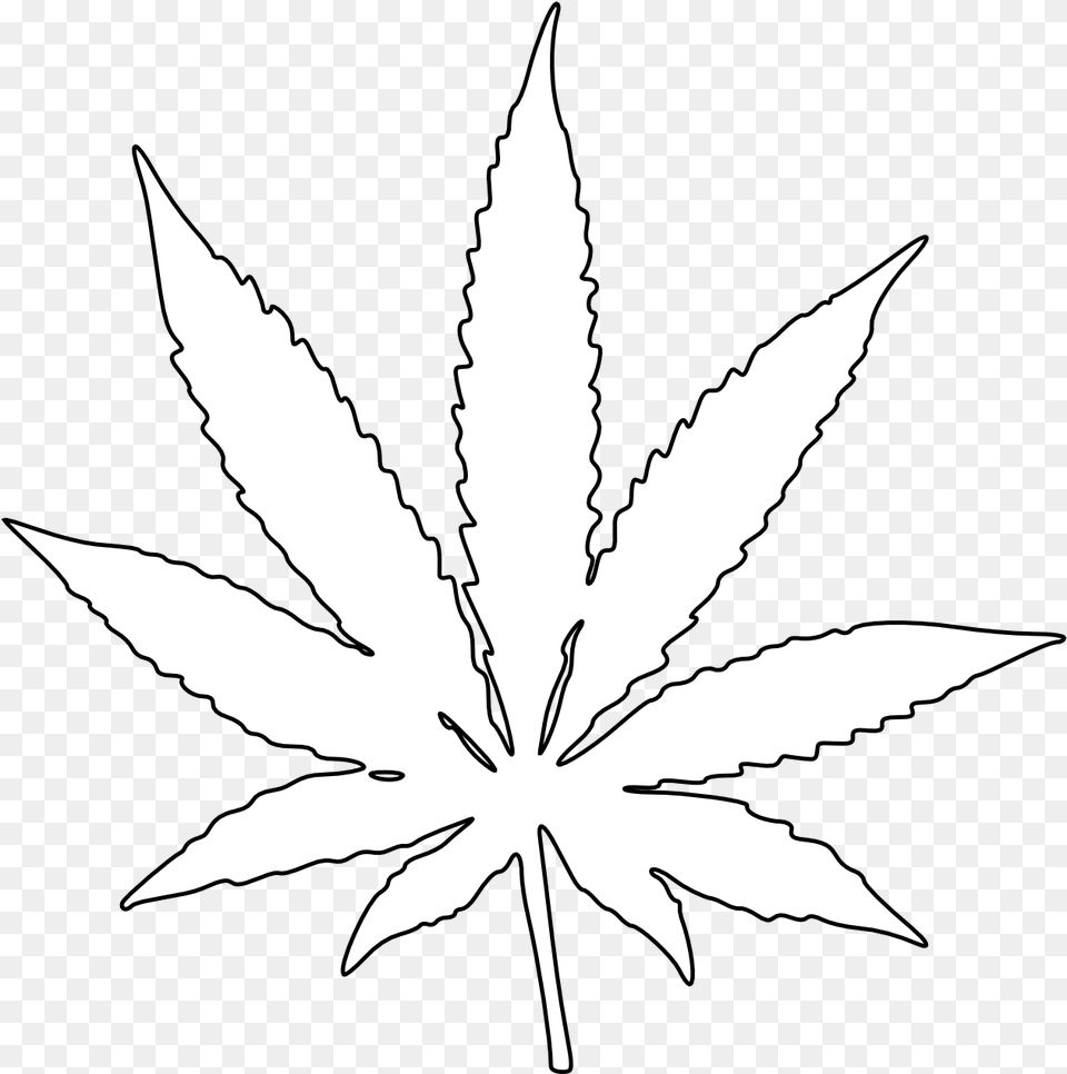 Pot Leaf Outline White Weed Leaf, Plant, Stencil, Person Png Image
