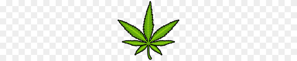 Pot Leaf Pfff, Plant, Weed, Hemp Free Png