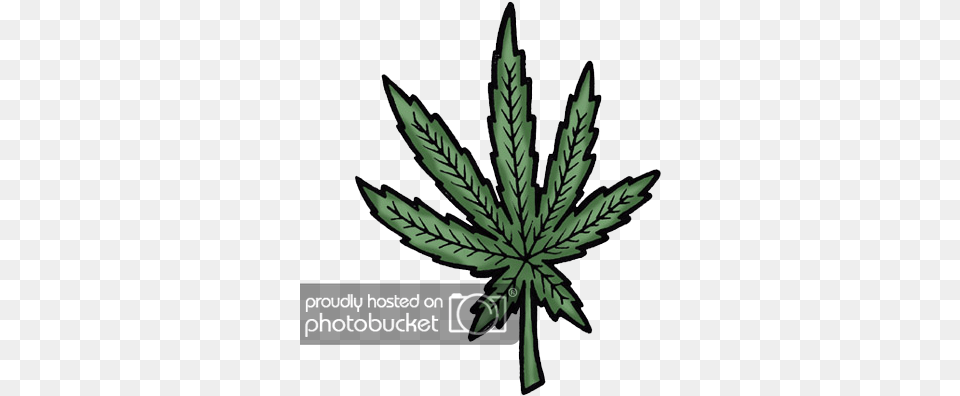 Pot Leaf Photo By No Face Killa Photobucket Illustration, Plant, Weed, Hemp, Chandelier Free Png