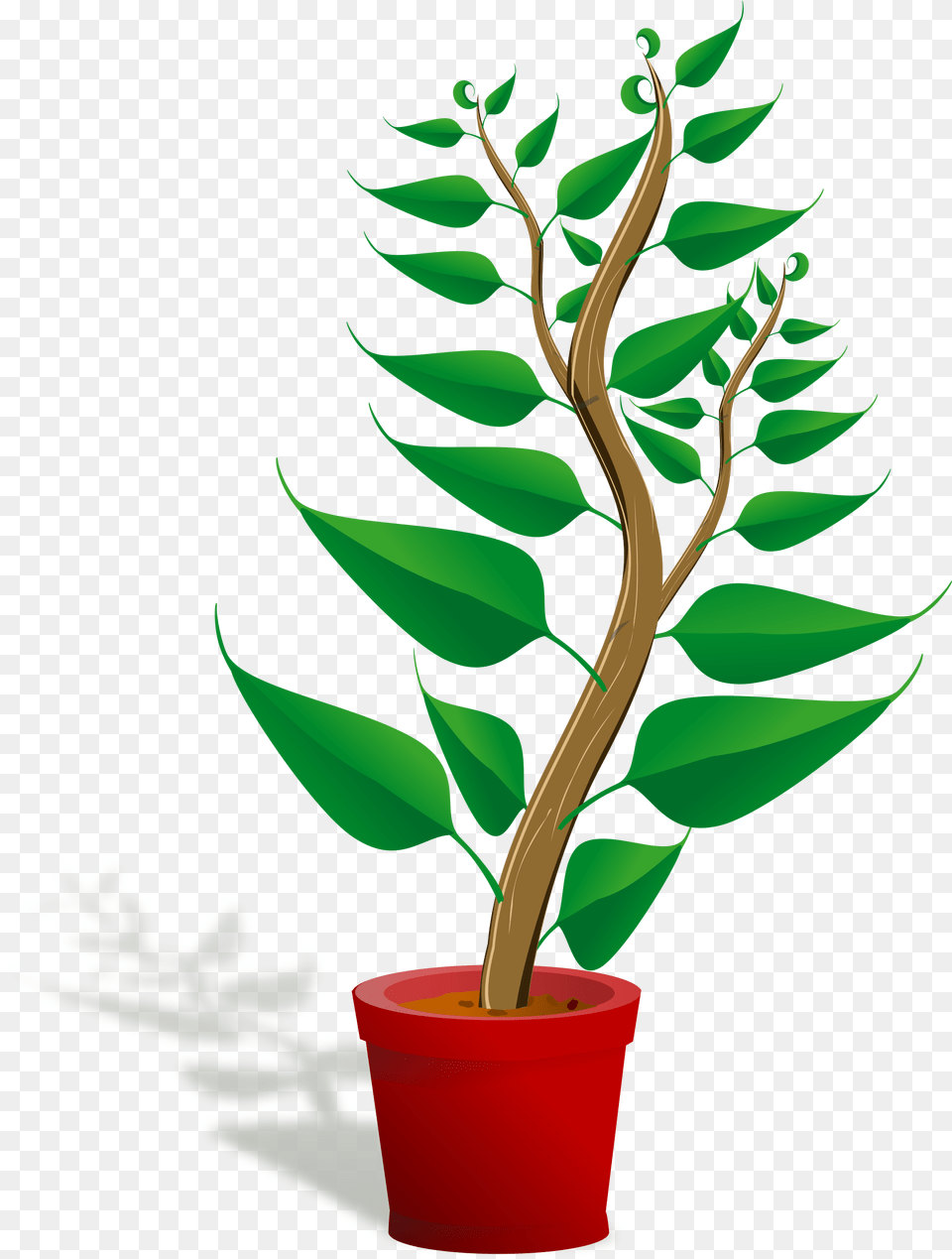 Pot On Stove Clipart Vector Clip Art Online Royalty Getting To Know Plants, Leaf, Plant, Tree, Potted Plant Png