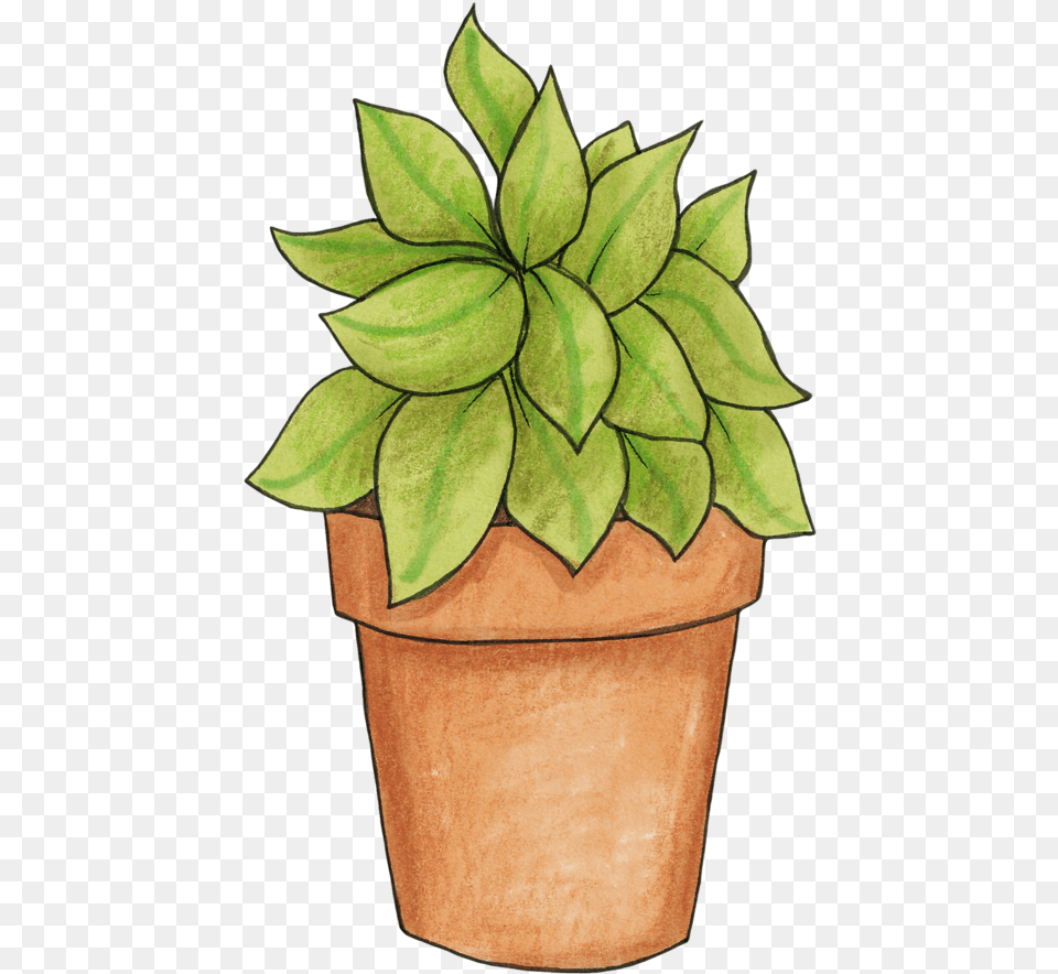 Pot Plant Clip Art, Jar, Leaf, Planter, Potted Plant Free Transparent Png