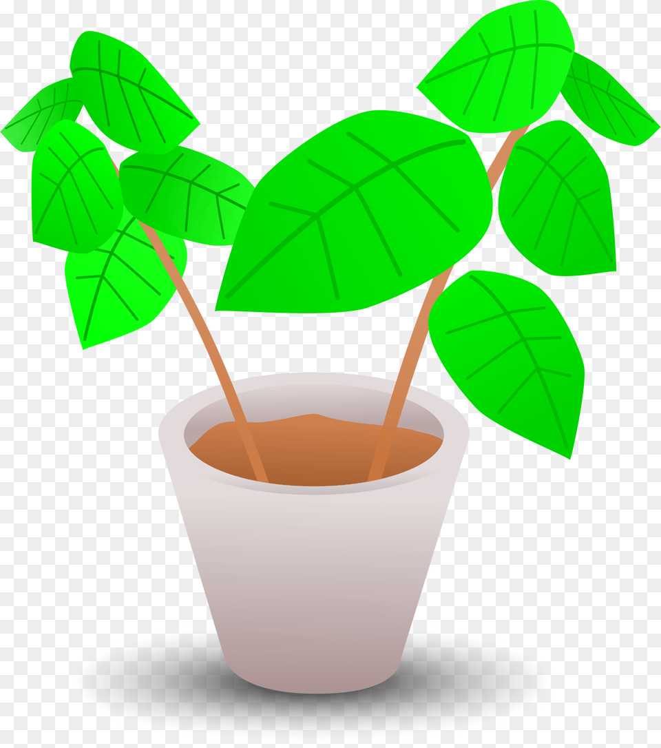 Pot Plant Clip Art, Herbal, Herbs, Leaf, Cup Png