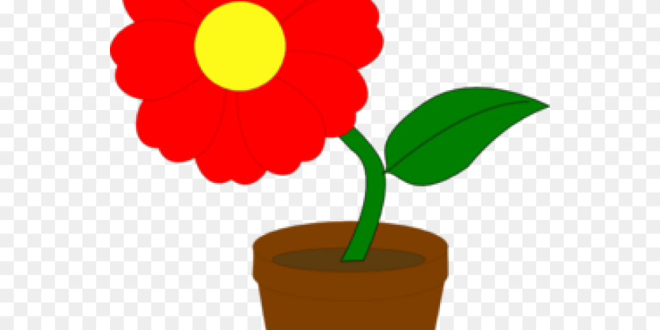 Pot Plant Clipart, Daisy, Flower, Petal, Potted Plant Png