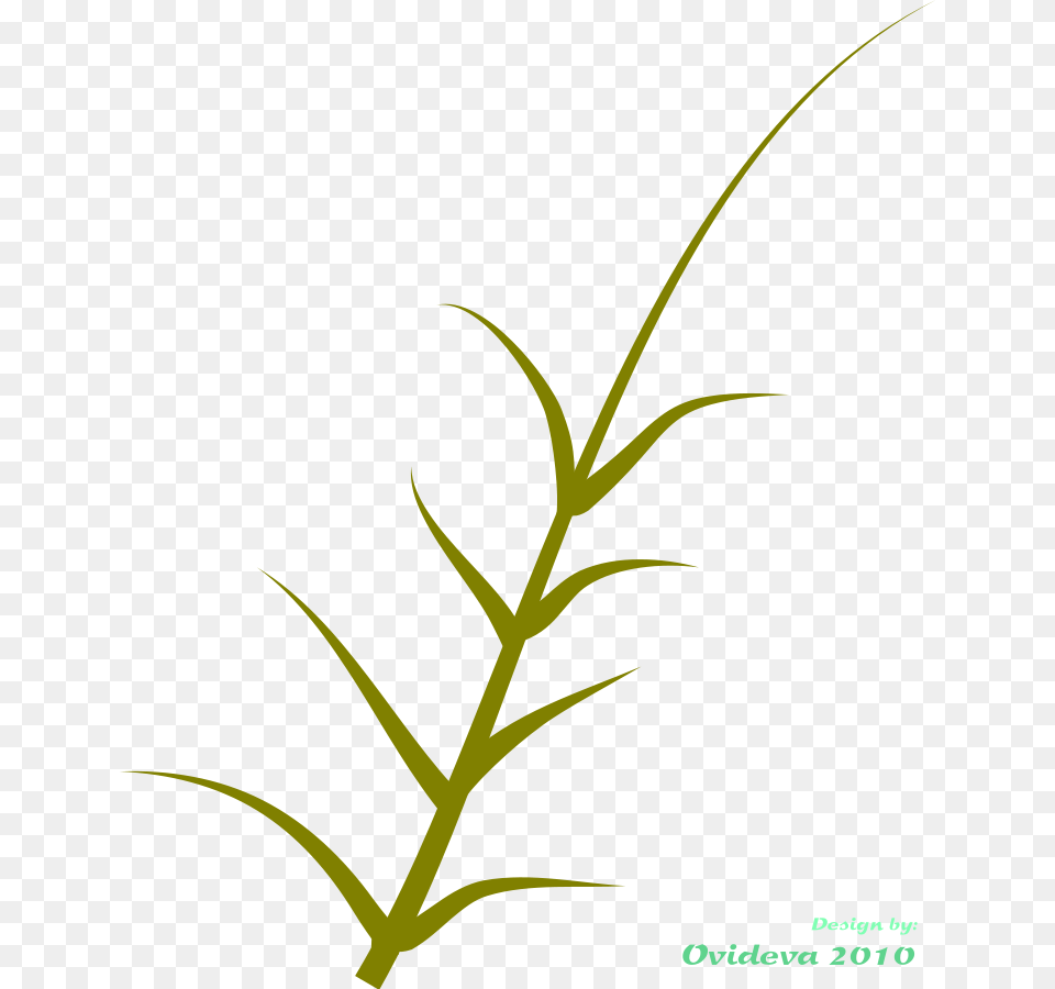 Pot Plant Clipart May, Grass, Leaf, Flower Free Transparent Png