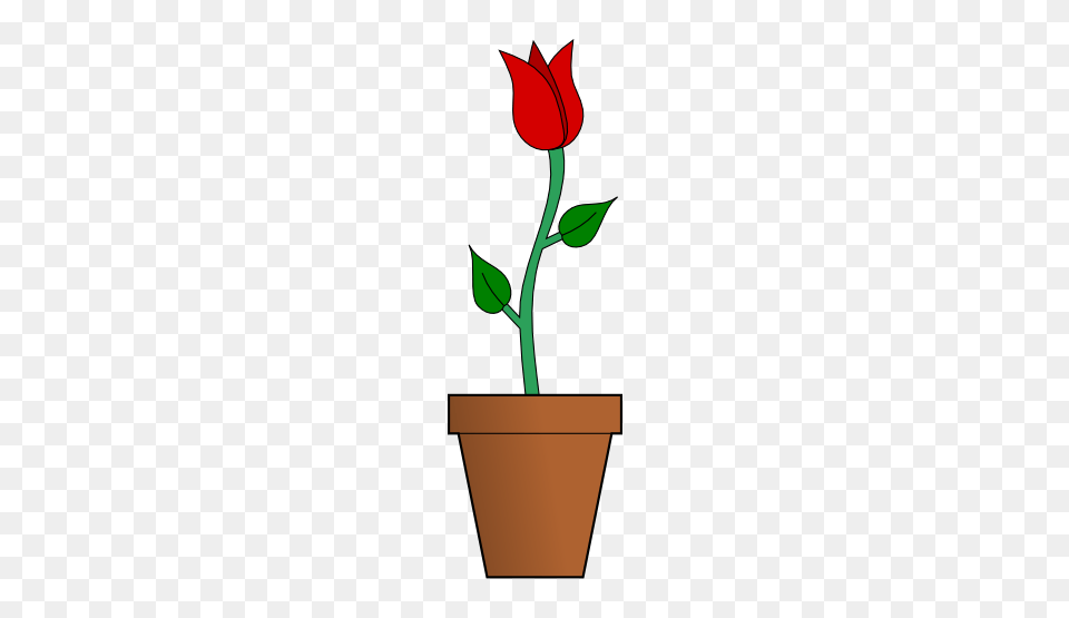 Pot Plant Clipart Rose, Flower, Mailbox Free Png Download