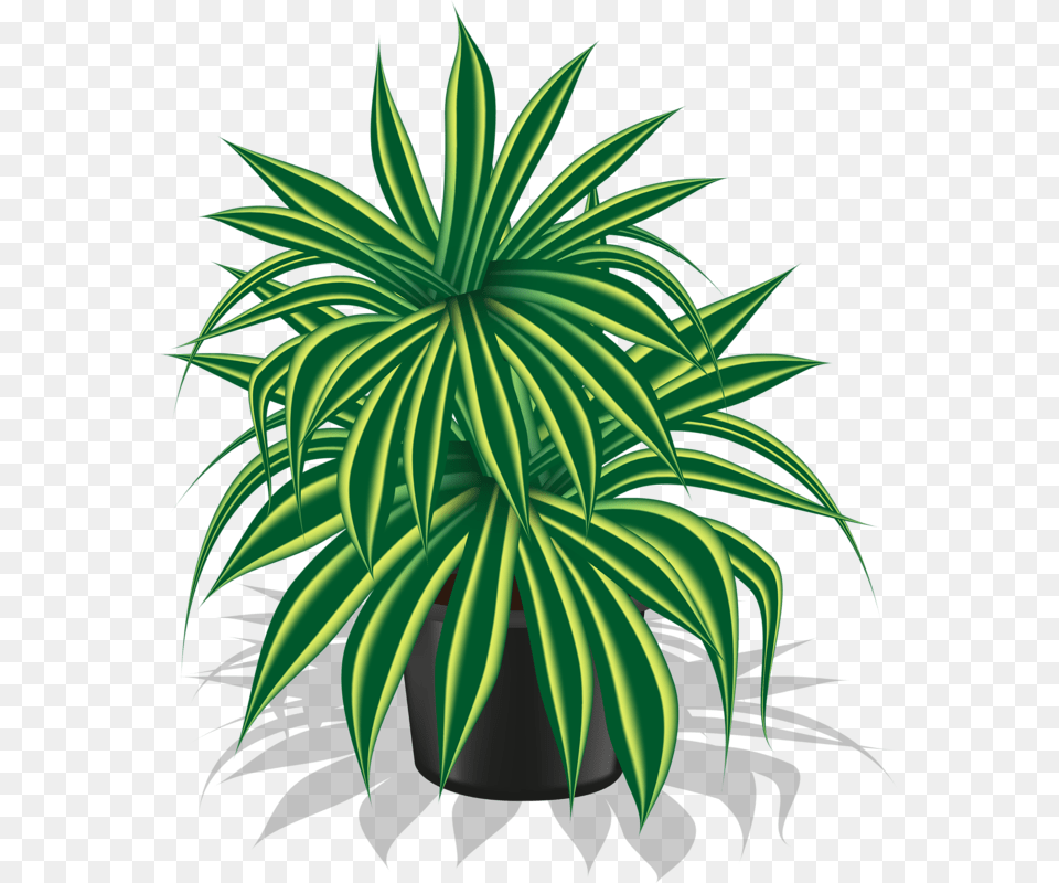 Pot Plant Clipart Spring, Potted Plant, Leaf, Aloe Png Image