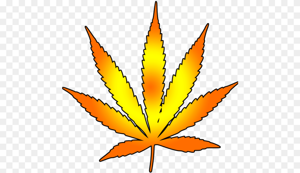 Pot Plant Weed Leaf Hd Free Png