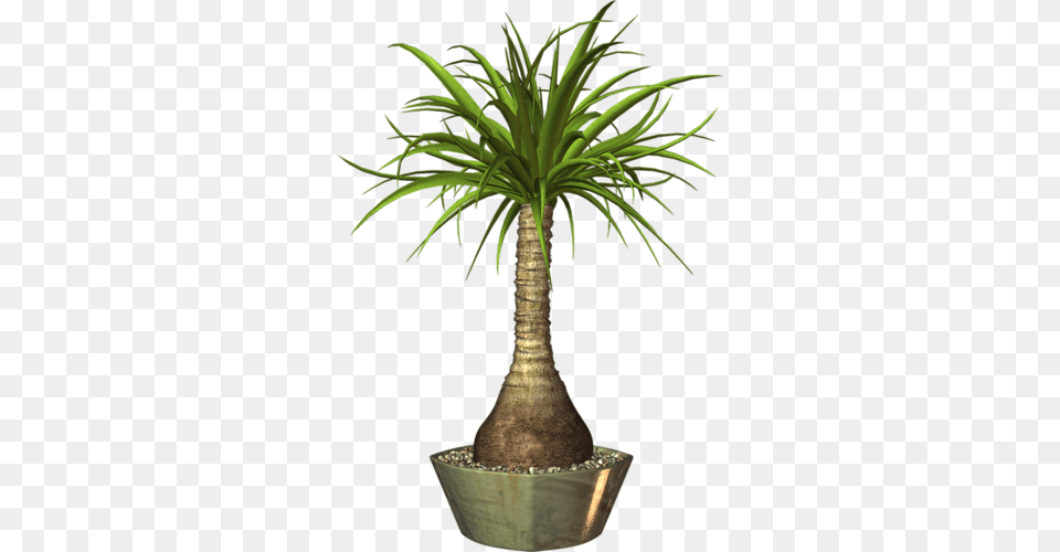 Pot Plants Elements Of Art Flower Art Decoupage Image Plants Pot, Palm Tree, Plant, Potted Plant, Tree Free Transparent Png