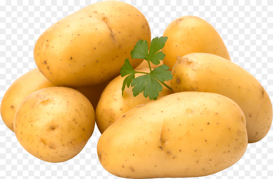 Potato Png Image