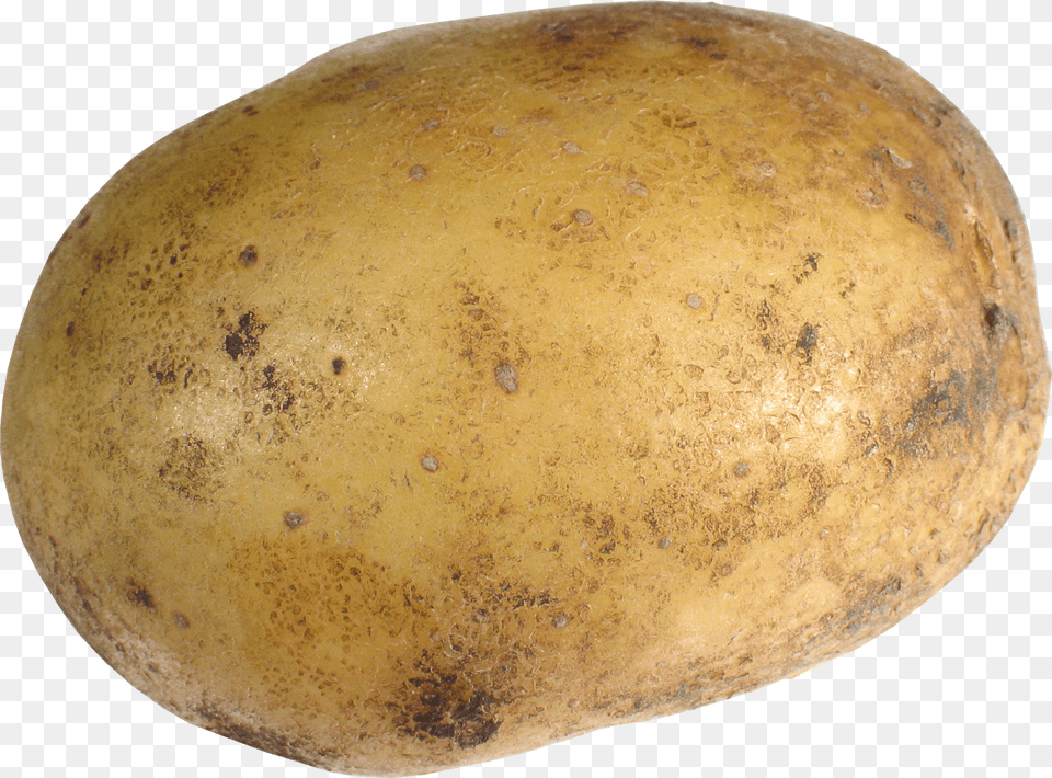 Potato Png Image