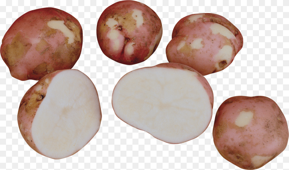 Potato, Gray Png