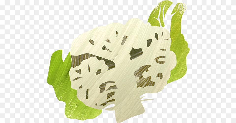 Potato Amp Cauliflower Pesto Salad Mossy Cup Oak, Food, Plant, Produce, Vegetable Png Image