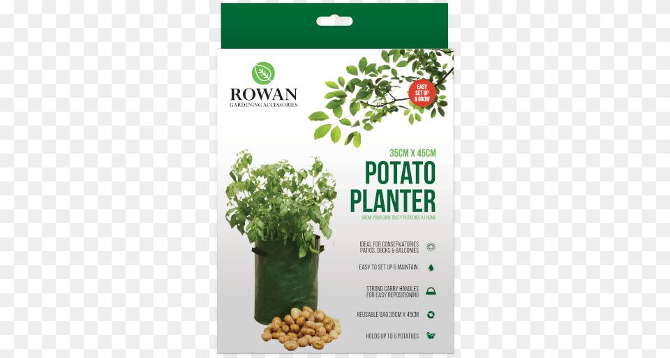 Potato Planter Potato, Herbal, Herbs, Plant, Advertisement Free Transparent Png