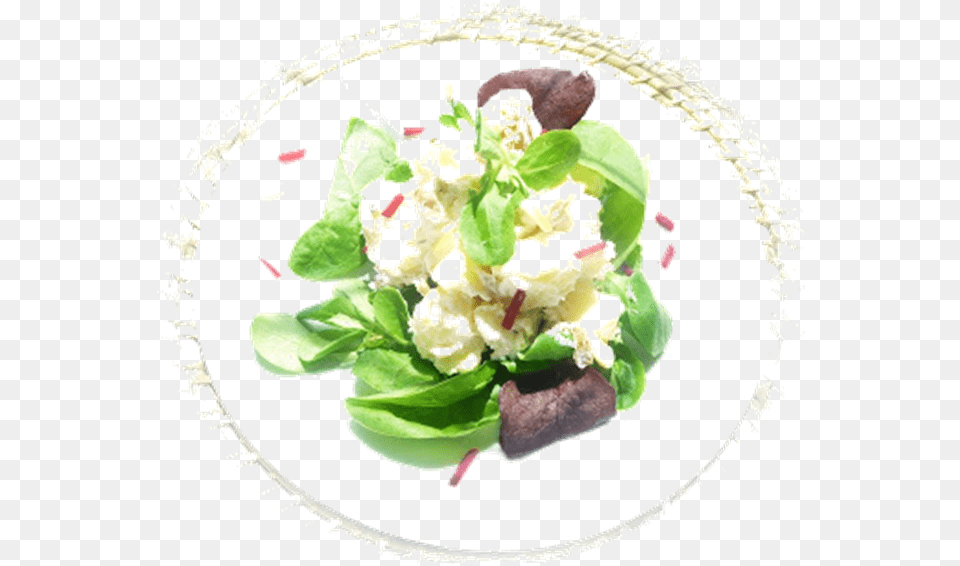Potato Salad Lots Of Potato Salad Ideas Here Potato, Food, Food Presentation, Plant, Leaf Free Png Download