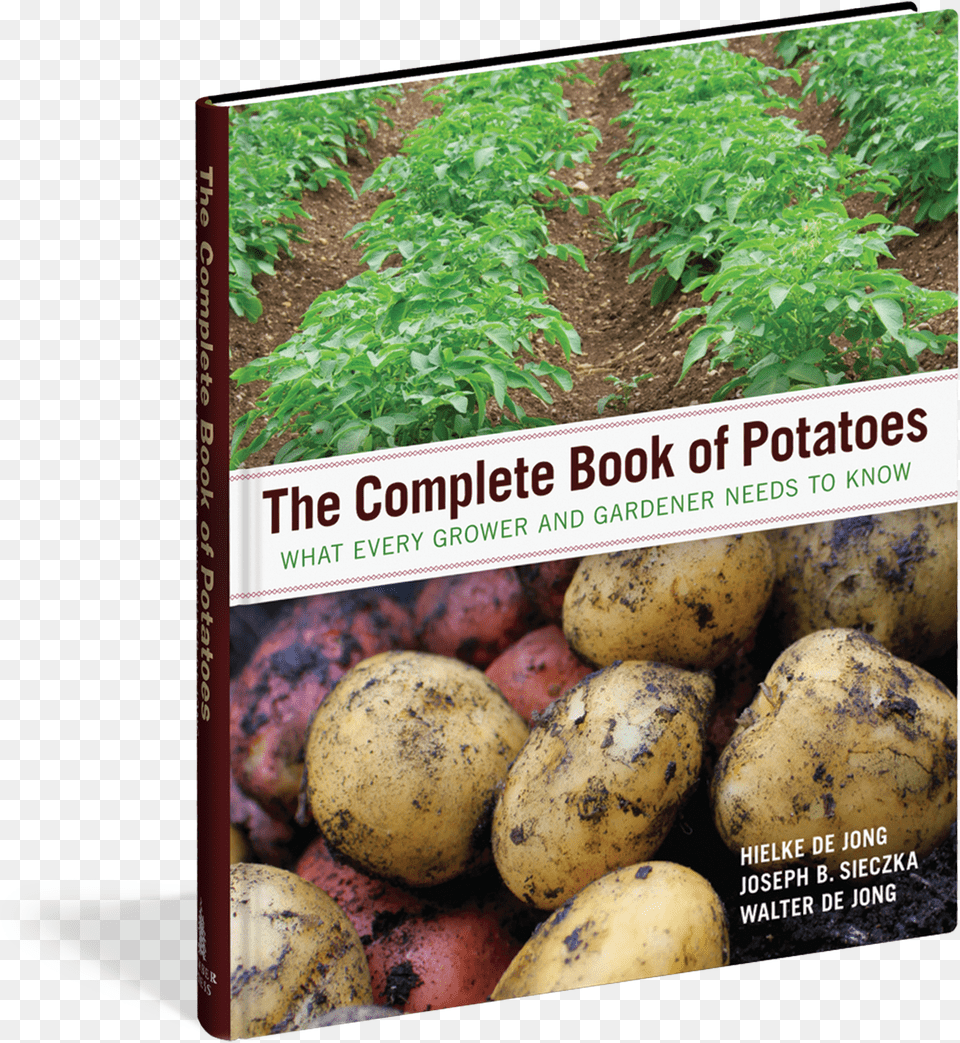Potatoes Download Russet Burbank Potato, Food, Plant, Produce, Soil Png Image