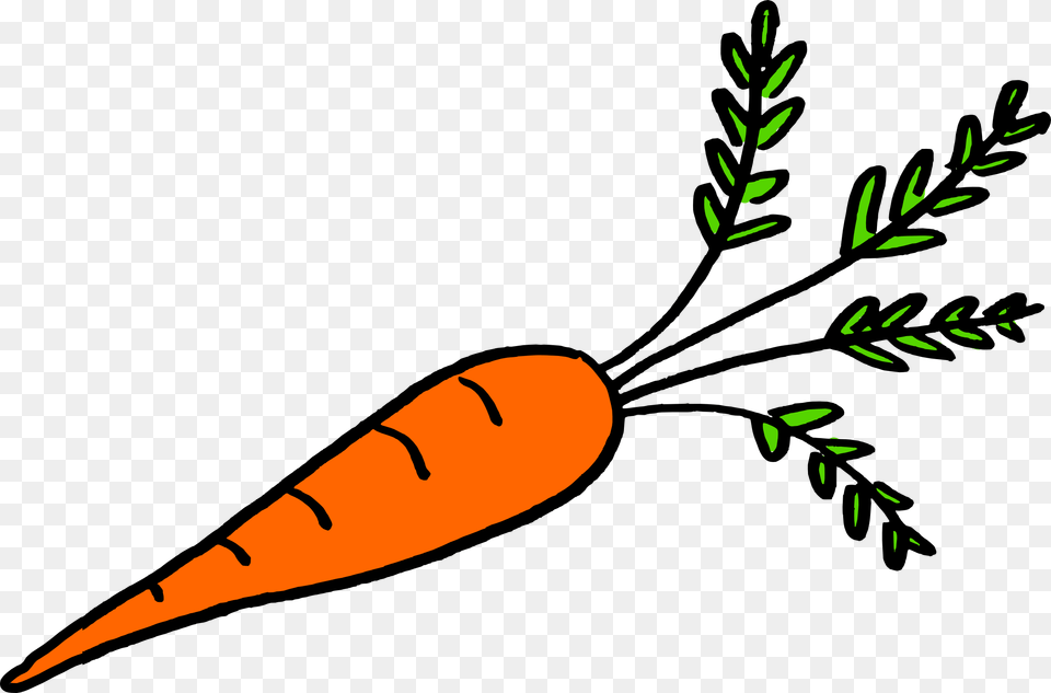 Potatoes Drawing Underground Vegetables That Grow Underground Roots, Carrot, Food, Plant, Produce Png Image