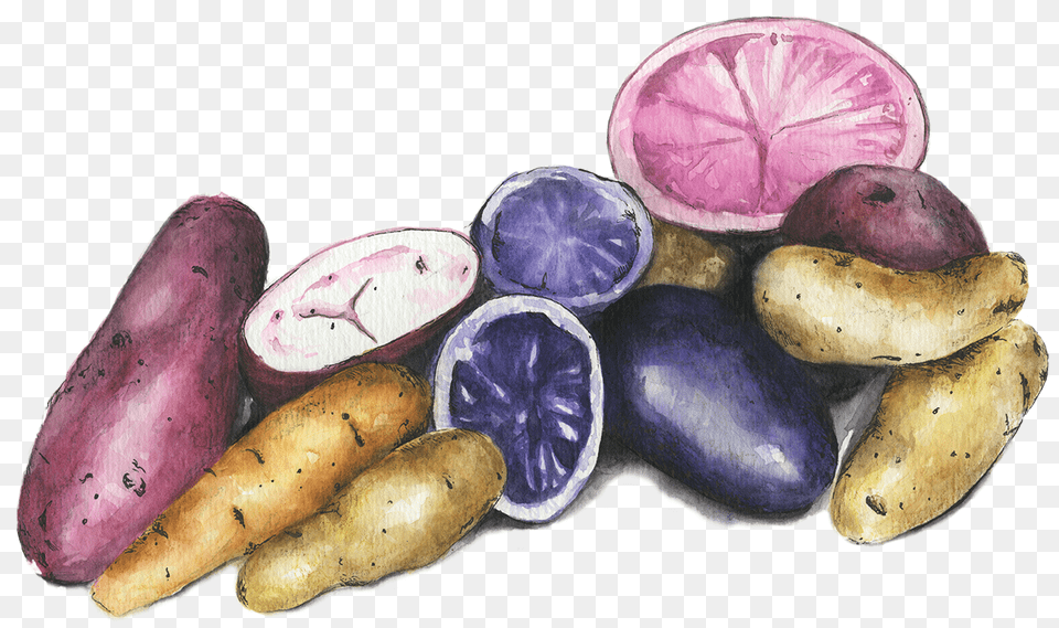 Potatoes Tuber, Produce, Food, Plant, Fungus Free Transparent Png