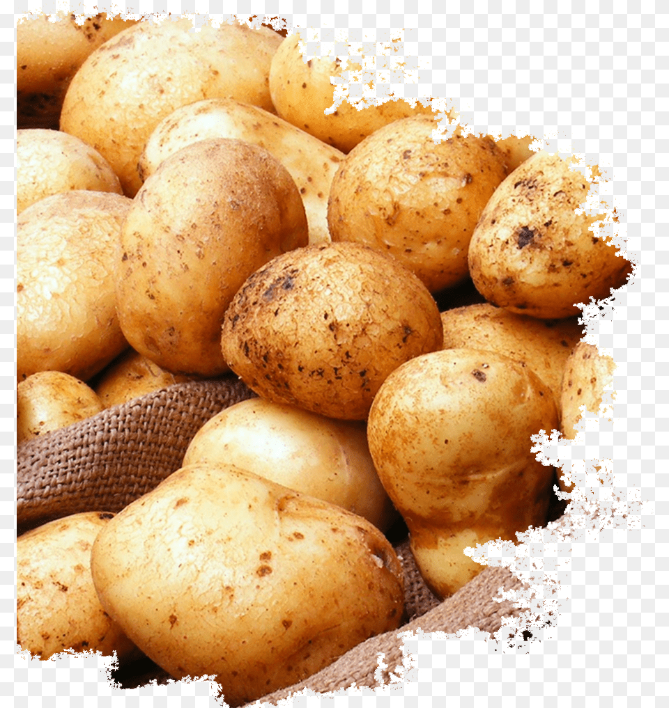 Potatoes U2013 Mccoy International, Food, Plant, Potato, Produce Free Transparent Png