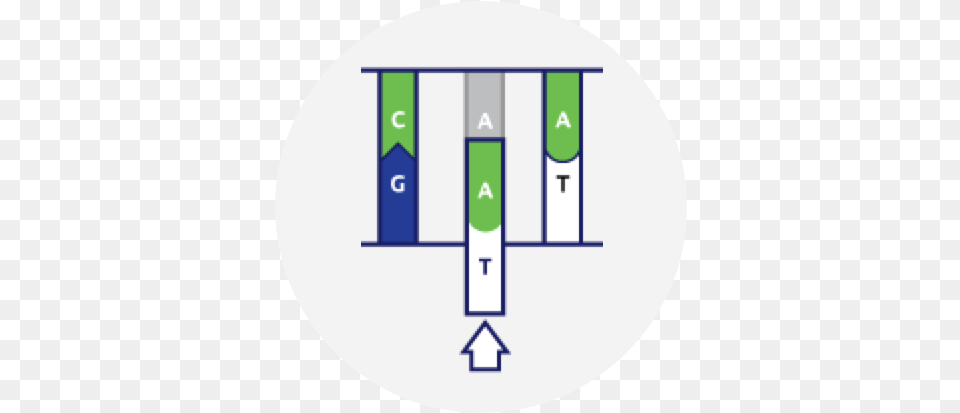 Potential Of Gene Therapy Circle, Disk Free Transparent Png