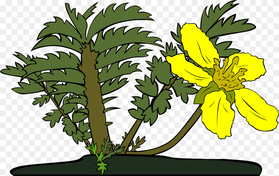 Potentilla Anserina Silverweed Clipart, Flower, Plant, Leaf, Flower Arrangement Png