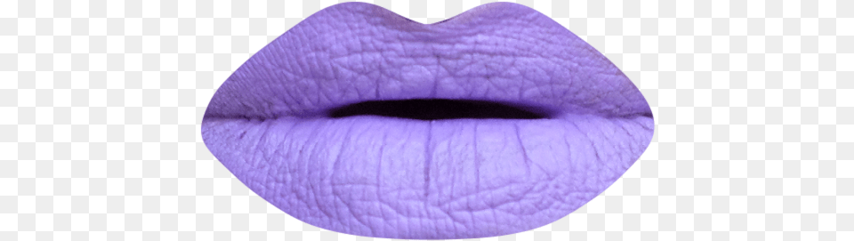 Potion 9 Lip Care, Flower, Petal, Plant, Purple Png Image