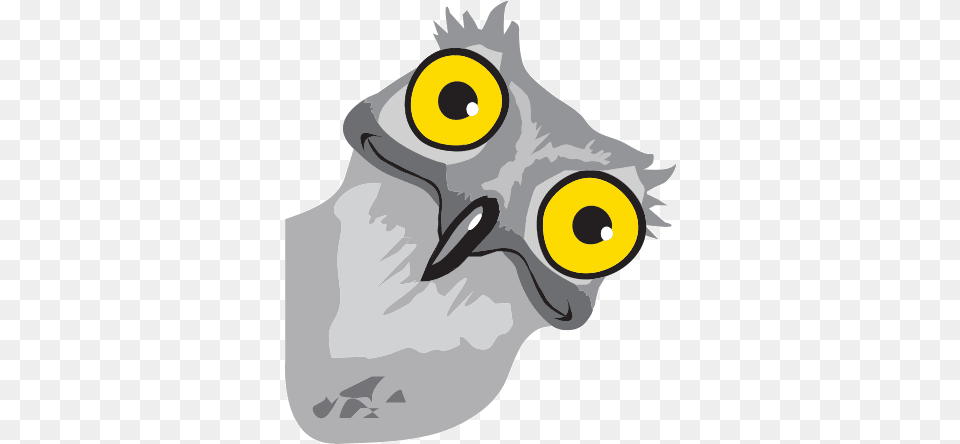 Potoo Bird Solo, Animal, Beak, Person, Jay Png Image