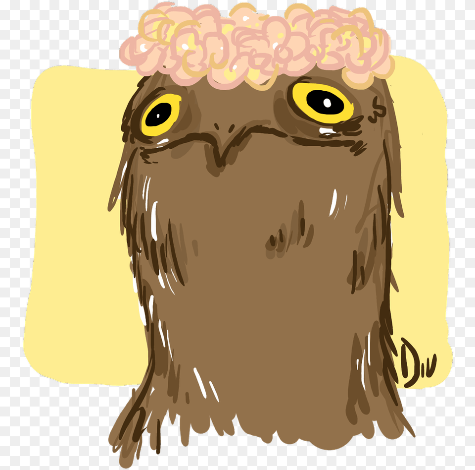 Potoo Bird Wallpaper Potoo Bird Drawing, Animal, Beak, Eagle Free Transparent Png