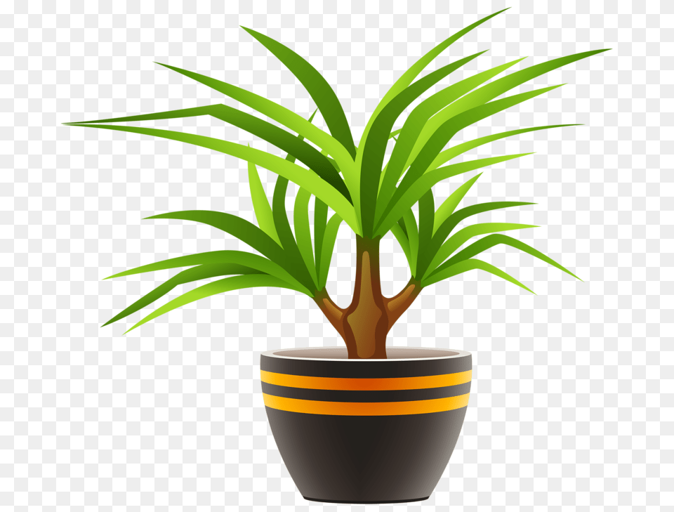 Potreby Clip Art And Scrapbook, Leaf, Palm Tree, Plant, Potted Plant Png