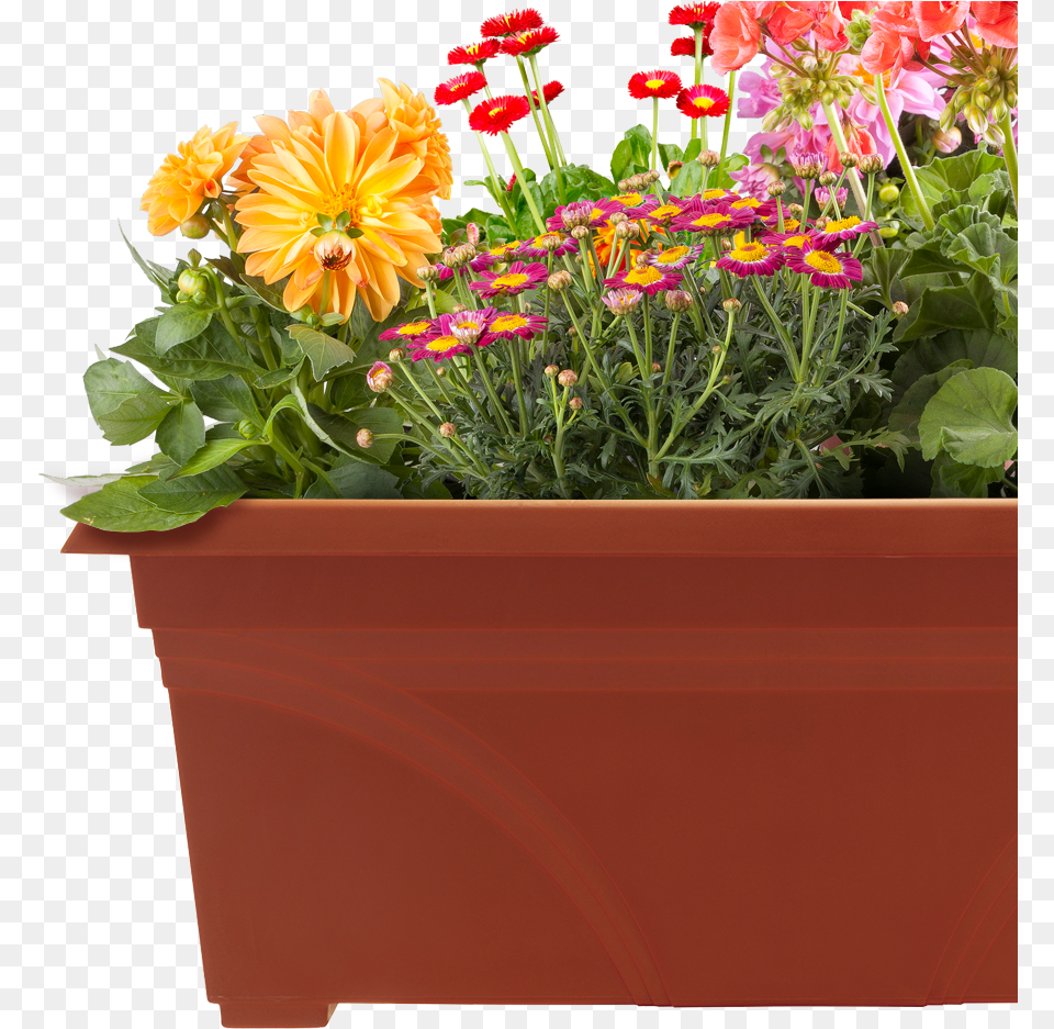 Pots Of Plants Flower Pots Images, Vase, Pottery, Potted Plant, Planter Free Transparent Png