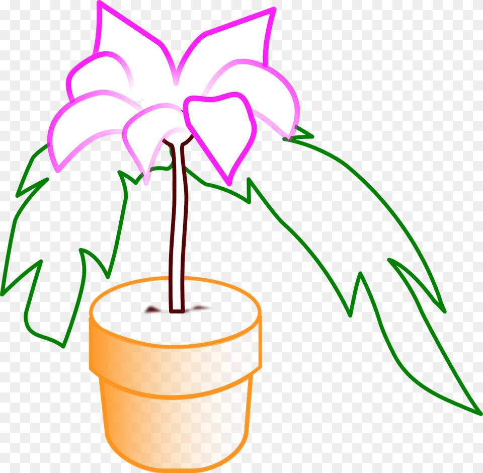 Potted Flowers, Plant, Potted Plant, Flower, Leaf Png