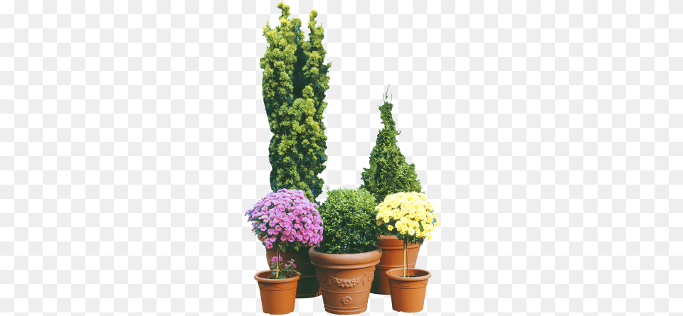Potted Flowers And Plants Flowerpot, Tree, Cookware, Flower, Potted Plant Png Image