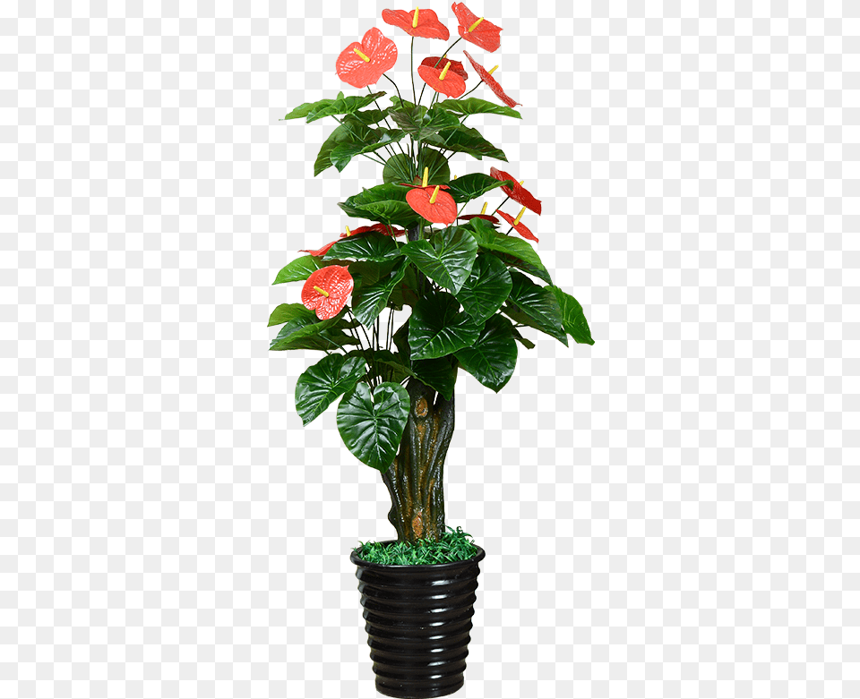 Potted Flowers Artificial Anemone Artificial Flower Potted Flowers, Flower Arrangement, Plant, Anthurium, Potted Plant Free Png Download