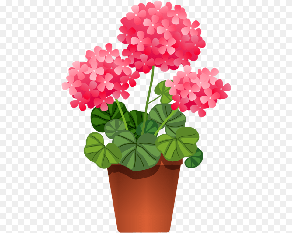 Potted Flowers Clip Art Flower Plant Clipart, Geranium Free Png