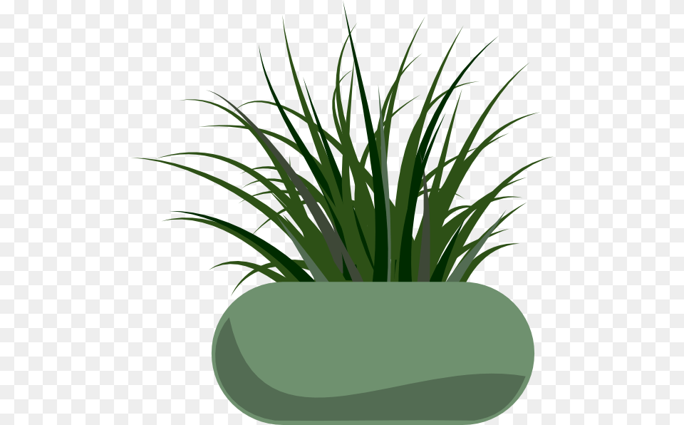 Potted Grass Clip Art, Jar, Plant, Planter, Potted Plant Free Png Download